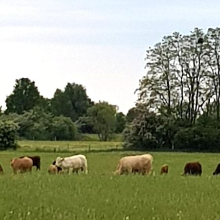 Ferienwohnung Wolf Nietwerder Zewnętrze zdjęcie